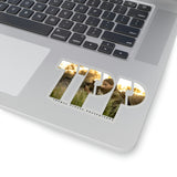 TPP6