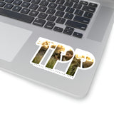 TPP6