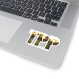 TPP6