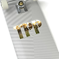 TPP6